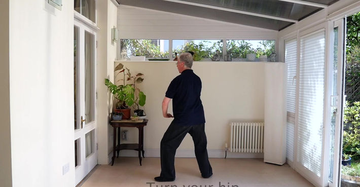 Yang 10-Step Form 3a. Brush Knee & Side Step (side 1) (level 1)